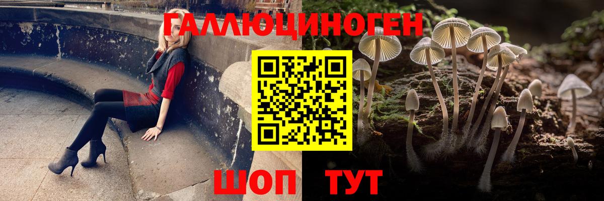 Галлюциногенные грибы MAGIC MUSHROOMS  Псилоцибиновые грибы мицелий  Первоуральск  Вход с VPN 